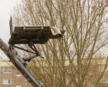 Möbellift in Kleve Möbellift in Kleve: Möbellift zwischen kahlen Bäumen vor einem Gebäude