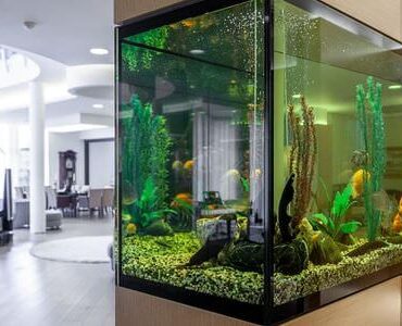 Aquarium-Umzug Kleve Aquarium-Umzug Kleve: Großes Aquarium in einem modernen Wohnzimmer