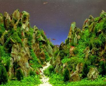 Aquarium-Umzug Kleve Aquarium-Umzug Kleve: Aquarium mit Felslandschaft und Pflanzen